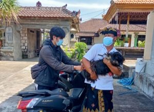 Dinas Pertanian dan Pangan Badung Respon Laporan Gigitan Anjing di Desa Kutuh