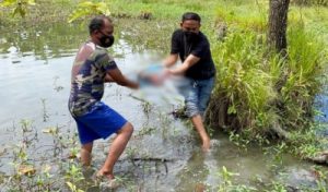 Polisi Bongkar Kasus Penemuan Mayat Bayi di Bekas Galian Tanah, Mamuju, Sulbar