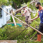 Cuaca Ekstrem, Waspadai Titik Rawan Pohon Tumbang di Kota Sukabumi