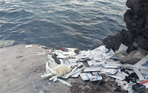 Tindak Tegas Pelaku Pembuangan Sampah Alat Bekas Antigen di Ketapang, Banyuwangi