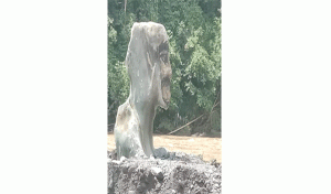 Batu Besar Mirip Manusia Ditemukan di Tengah Sungai Musi di Empat Lawang, Sumsel