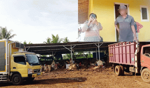 Pemilik Lapak Singkong Ilegal Intimidasi dan Ancam Jurnalis