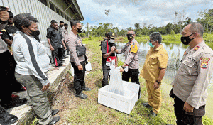 Program Kasuari Satgas Binmas Noken Ops Damai Cartenz Bantu Bibit Ikan Sebanyak 30.000 Ekor di Kab. Yahukimo