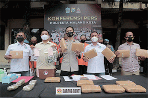 Polresta Malang Kota Gagalkan Upaya Peredaran Ganja Seberat 14,5 Kg