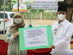 Kabupaten Lampung Utara Menerima Bantuan 40.000 Bibit Lada Dari Kementrian RI