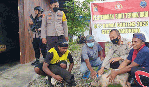 Masyarakat Papua Mendukung Program Kasuari Satgasres Binmas Noken