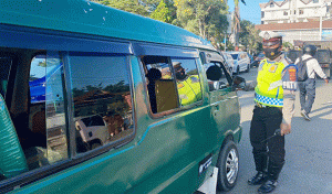 Terjaring 27 Pelanggar Dalam Razia Kendaraan Umum dan Plat Luar Papua