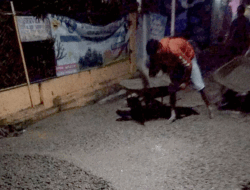 Pelaksana Proyek Saluran Air Kedungkandang, Malang Respon Keluhan Warga