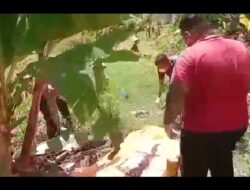 Petugas Evakuasi Sesosok Mayat di Bawah Pohon Pisang, Ketapang, Banyuwangi