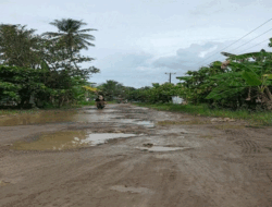 Jalan Lintas Kabupaten Rusak Parah, Warga Semaka, Lampung Mengeluh