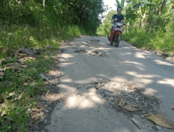 Jalan Rusak dan Berlubang, Belum Ada Solusi Warga Tanjung Agung, Lampung Mengeluh