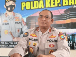 Sebanyak 890 Sapi Terkonfirmasi PMK, Polda Babel Imbau Masyarakat Tidak Panik