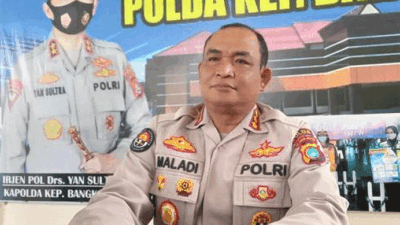 Sebanyak 890 Sapi Terkonfirmasi PMK, Polda Babel Imbau Masyarakat Tidak Panik