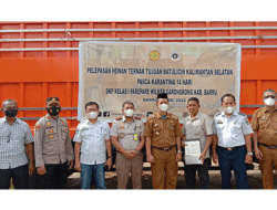 Puluhan Sapi Asal Bone Dikirim ke Kalimantan Selatan Pasca Terima Sertifikat Kesehatan