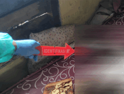 Ditemukan Membusuk, Laki-laki Warga Kelurahan Panaragan Jaya, Kabupaten Tubaba