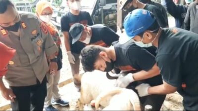 Antisipasi Penyebaran PMK, Polres Sukabumi Kota Gencar Pengecekan Hewan Ternak