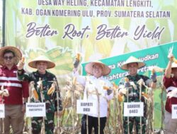 Plh Bupati OKU Hadiri Panen Perdana Jagung Petani Plasma bersama Forkopimda