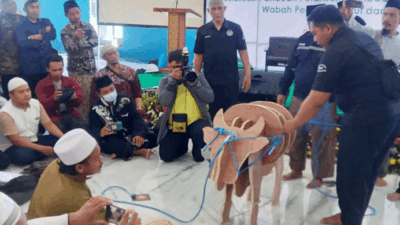 MUI Gelar Bimtek Julehah dan Sosialisasi Pelaksanaan Ibadah Kurban