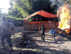 Judi Sabung Ayam Dibongkar, Lokasi di Desa Lekor, Lombok Tengah Dibakar