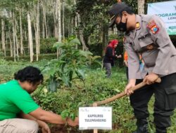 Tanam 25 Ribu Pohon, Forkopimda Tulungagung Peringati Hari Lingkungan Hidup