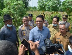 Kakorbinmas Baharkam Polri Studi Banding Tanam Jagung di Lamongan untuk Petani Papua