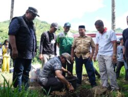 Ribuan masyarakat Desa Watangcani Saksikan Pesta Panen Mappadendang