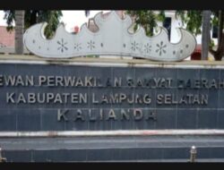 Oknum Sekdes Mandah, Lampung Selatan Jadi Sorotan Awak Media