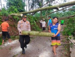 Diterpa Angin Puting Beliung, Sebanyak 13 Rumah Warga Tambakroto, Pekalongan Rusak