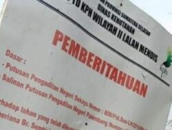 Tanami Hutan Negara, Sebuah Perusahaan di Muba Diduga Lakukan Pelanggaran