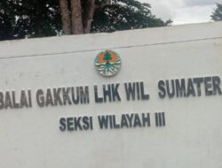 Penyidik Balai Gakkum Sumsel Dinilai Meradang Pasca Dikonfirmasi Wartawan