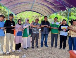 Lestarikan Budaya Mappadendang, Meriahkan Pesta Panen Raya Desa Watangcani, Bone