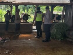 Polres Batu Kerahkan Bhabinkamtibmas, Dampingi Vaksinator PMK