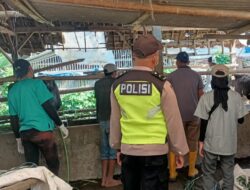 Percepat Program Vaksinasi PMK, Polsek Ngantang Dampingi Tim Vaksinator