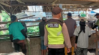 Percepat Program Vaksinasi PMK, Polsek Ngantang Dampingi Tim Vaksinator