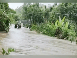 Hujan Deras di Mamuju, Jalur Trans Sulawesi Lumpuh Total