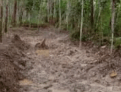 Diduga Alami Pencemaran Limbah, Warga Modong, Sumsel Tuntut Ganti Rugi