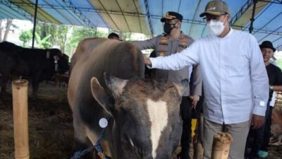 Jelang Idul Adha, Wali Kota Achmad Fahmi Pastikan Kota Sukabumi Bebas PMK