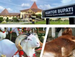Pemkab Tubaba Bagikan Hewan Kurban ke Sejumlah Instansi hingga Insan Pers