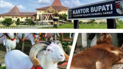 Pemkab Tubaba Bagikan Hewan Kurban ke Sejumlah Instansi hingga Insan Pers