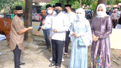 Polda Sulsel Bagikan 673 Sapi dan 22 Kambing Kurban ke Masyarakat