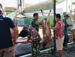 Kodim 0713 Brebes Potong Hewan Kurban, Ini Pesan Dandim Letkol Infanteri Tentrem Basuki