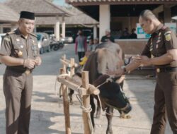 Kejati Babel Laksanakan Pemotongan Hewan Kurban Rayakan Idul Adha 1443 H