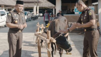 Kejati Babel Laksanakan Pemotongan Hewan Kurban Rayakan Idul Adha 1443 H