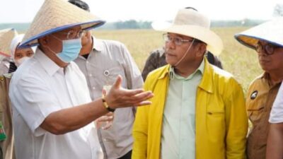 Kunjungan Komisi IV DPR-RI Lahan Kering Padi Gogo Kabupaten Tulang Bawang Barat