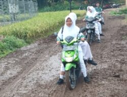 Akibat Berlubang, Musim Hujan Banyak Pengendara Tergelincir di Lintas Cilibur Brebes