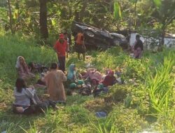 Pikap Rombongan asal Brebes Masuk Jurang, Ini Sejumlah Fakta Penyebabnya