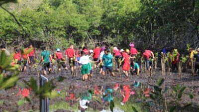 Penanaman Pohon Mangrove Serangkaian Badung Education Fair 2022