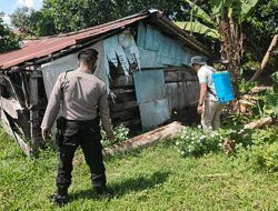 Cegah PMK, Satgas Ops Aman Nusa II Polres Ketapang Semprot Kandang Ternak