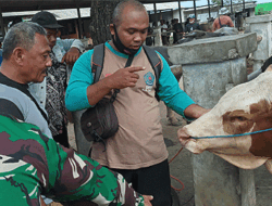 Tim Satgas PMK Brebes Lakukan Penyekatan Mobilitas Hewan Ternak