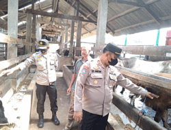 Polres Lampung Utara Sosialisasi Pencegahan PMK Kepada Peternak Hewan